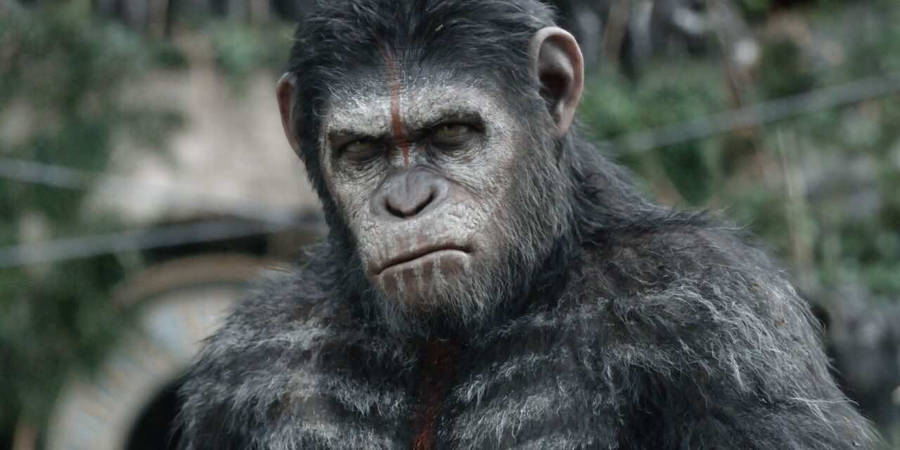 La Planète Des Singes : l&rsquo;affrontement