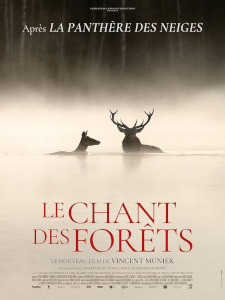 Le Chant des Forêts
